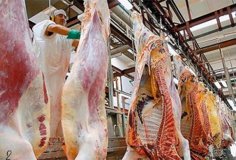 Analizan baja de retenciones para las exportaciones de carne vacuna y l�cteos