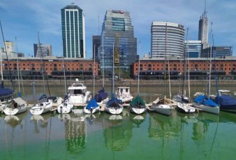 Las aguas del Ro de la Plata se pusieron verdes: expertos analizarn los riesgos