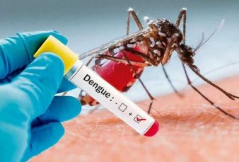Dengue: especialistas advierten sobre la presencia de mosquitos antes del verano