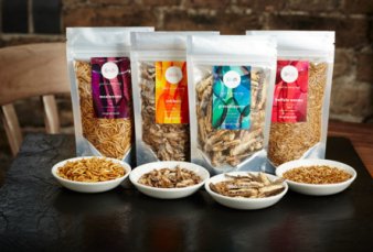 Comida a base de insectos, el alimento del futuro que lleg� a Argentina con el INTI