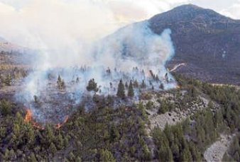 Un incendio fuera de control afecta ms de 1000 hectreas en Ro Negro