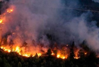 Avanza sin control el incendio en El Bolsn y ya consumi ms de 7.000 hectreas