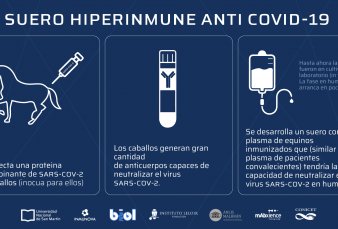 Comienza a distribuirse el suero equino hiperinmune para tratamientos de Covid