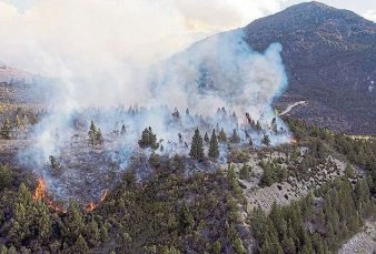 Alivio en El Bolsn: cedi en tres sectores el incendio forestal, que ya lleva 18 das