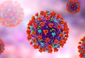 El Malbr�n confirm� que lleg� variante Amazonas