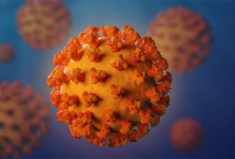 COVID - 19: las noticias m�s destacadas