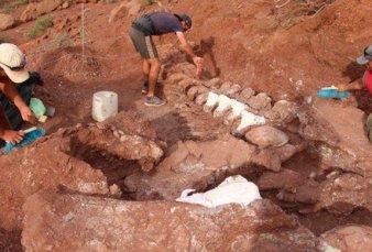 Hallan en la Patagonia el titanosaurio ms antiguo: tiene 140 millones de aos