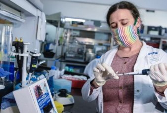 Desarrollan en la Argentina un kit r�pido de PCR
