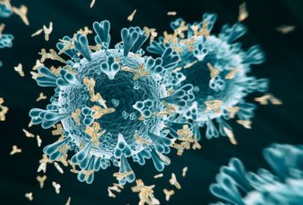 Detectaron casos de variantes de la India y de Sud�frica en viajeros llegados al pa�s