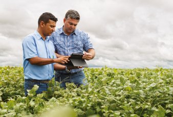 Quejas en el campo: al productor no le llegan los beneficios del rcord de la soja