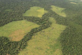 Deforestacin rcord en mayo en la Amazonia brasilea