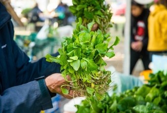 Rosario, premiada por sus polticas de produccin sustentable de alimentos