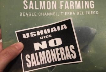 Ley pionera: prohben en Tierra del Fuego instalar salmoneras en el Beagle