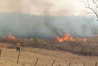 Crecen los focos de incendio en el Delta por la quema de pastizales