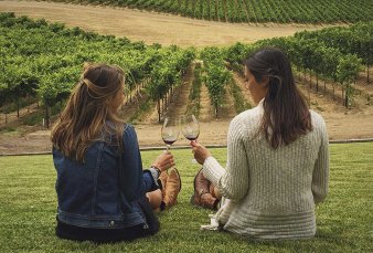 Crece produccin de vino bonaerense y busca ganar terreno en el enoturismo