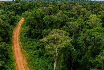 Misiones pide una compensacin econmica por cuidar la selva