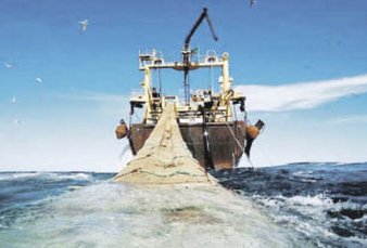 Patagnicos celebraron baja de aranceles a las exportaciones pesqueras