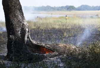 Ya se quem en Corrientes una superficie equivalente a 17 veces la Capital Federal
