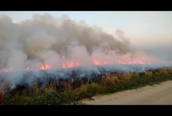 Se agravan los incendios en Corrientes y el fuego se devora a los Esteros del Iber