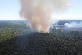 Avanzan los incendios en el Litoral: amenazan campos, bosques y reservas
