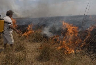 En Corrientes no llovi por dos das y volvieron a registrarse incendios