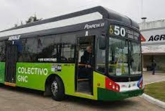 Cepo importador: la fbrica de buses Agrale frena su produccin