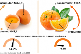 IPOD junio: por los agroalimentos, el consumidor pag 3,7 veces ms de lo que cobr el productor