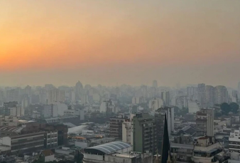 Agenda de la ma�ana