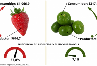 IPOD julio: el consumidor pag $3,6 veces ms de lo que cobr el productor de agroalimentos