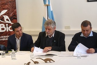 Misiones y Nacin acuerdan apurar inversin en ciencia y tecnologa por $770 millones