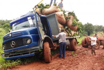 En plena cosecha de yerba mate, vuelve a faltar gasoil en Misiones