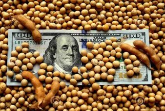 D�lar soja: ahora eval�an llevarlo a $ 200 para los que liquiden granos en septiembre