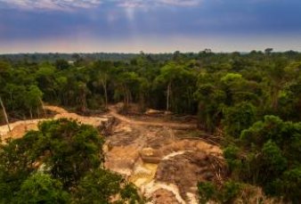Buscan lanzar alianza para proteger la selva amazónica