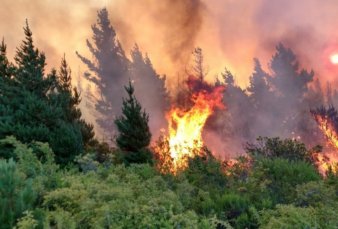 Un incendio forestal intencional tiene en vilo a los pobladores de El Hoyo
