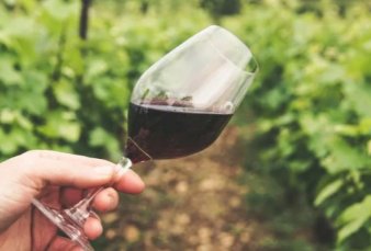 Ya rige la ley de Vino Buenos Aires para las bodegas bonaerenses