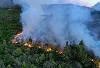 El fuego en El Bolsón arrasó más de 100 hectáreas y seguía activo