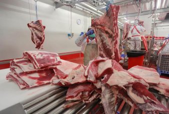 El precio de la carne sigue planchado: esperan un repunte en la primavera