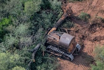 Advierten que crece la deforestacin en las provincias del norte