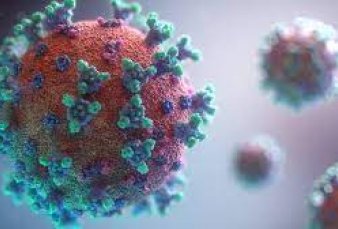 EG.5: en cinco meses podría llegar al país la nueva variante del coronavirus