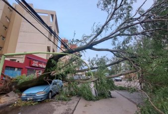 Trágico temporal azotó a CABA y a la Provincia: hubo muertos, graves destrozos y cortes de luz