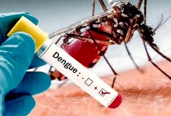 Los casos de dengue estn subiendo ms de lo esperado en todo el pas
