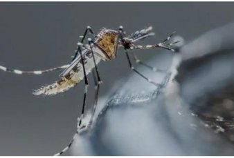 Preocupa aumento de casos de dengue en seis provincias