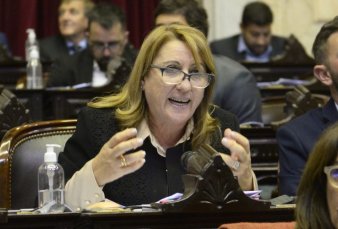 Fein: "Jams podemos dar ese cheque blanco que est pidiendo el gobierno"