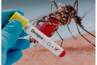 Dengue: la Argentina es el segundo pas con ms infectados de la regin