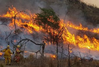 Alerta Roja en Crdoba: incendio descontrolado devasta el Valle de Traslasierra