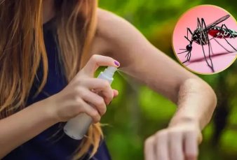 Dengue: una mutacin gentica le brinda al mosquito resistencia a los insecticidas