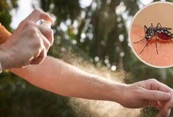 Ciudad: ya hay dengue autctono, 7 semanas antes que el ao pasado