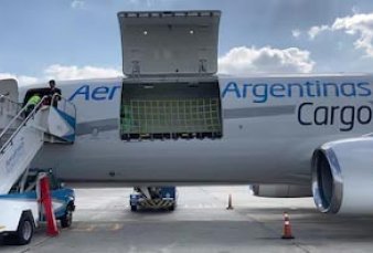 Aerolneas se suma al comercio de importados "puerta a puerta"