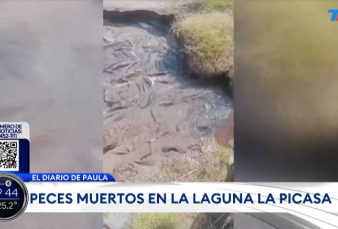 La situacin desesperante de los pescadores del sur de Santa Fe: "Nos estamos quedando sin nada"