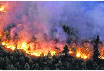 Neuqun registra el incendio forestal ms grande de su historia